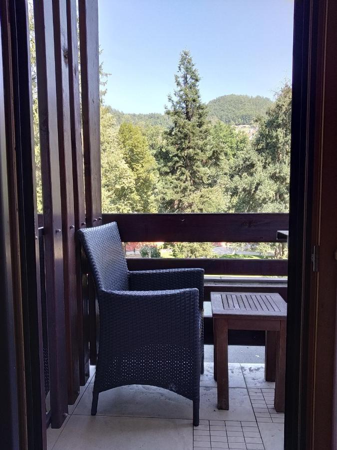Hotel Park Иваница Экстерьер фото